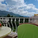 招待所 Stanovic Tea 3*